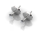 birds eye view 0.20ct earrings EPCW001 